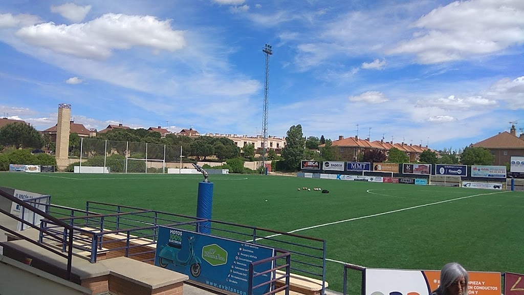 Campos Municipales de Villaviciosa de Odon