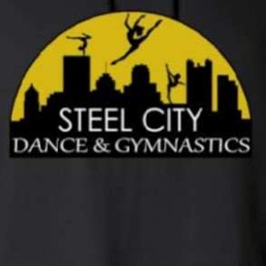  Steel City Dance and Gymnastics LLC