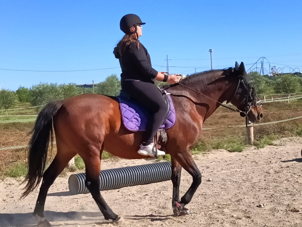 Equi Lliure Salou Club Hipic