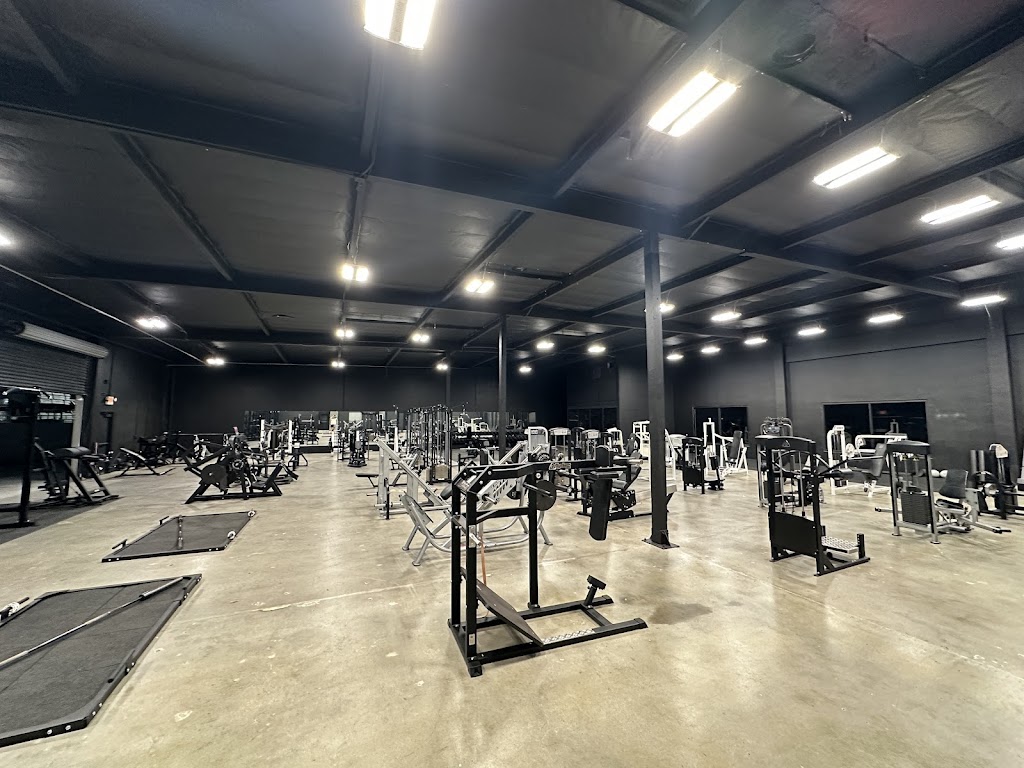  SJC strength and vitality