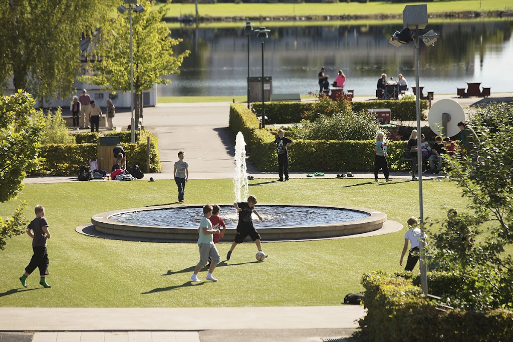 Bild av Mariebergsskogen