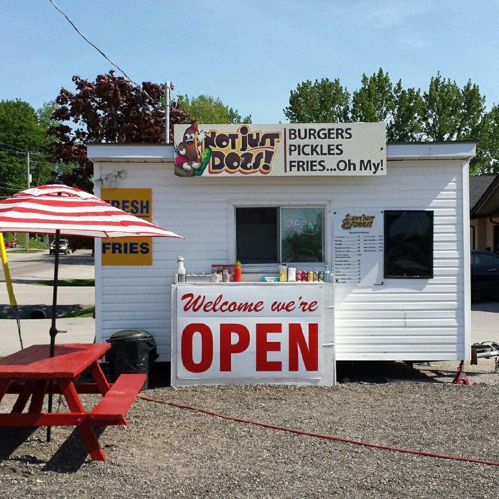 Not Just Dogs in Orillia