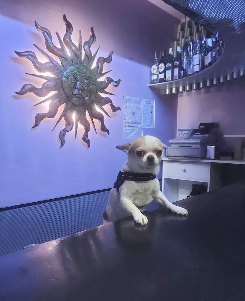 CENTRO VETERINARIO Mascotas de Sestao — Del propietario