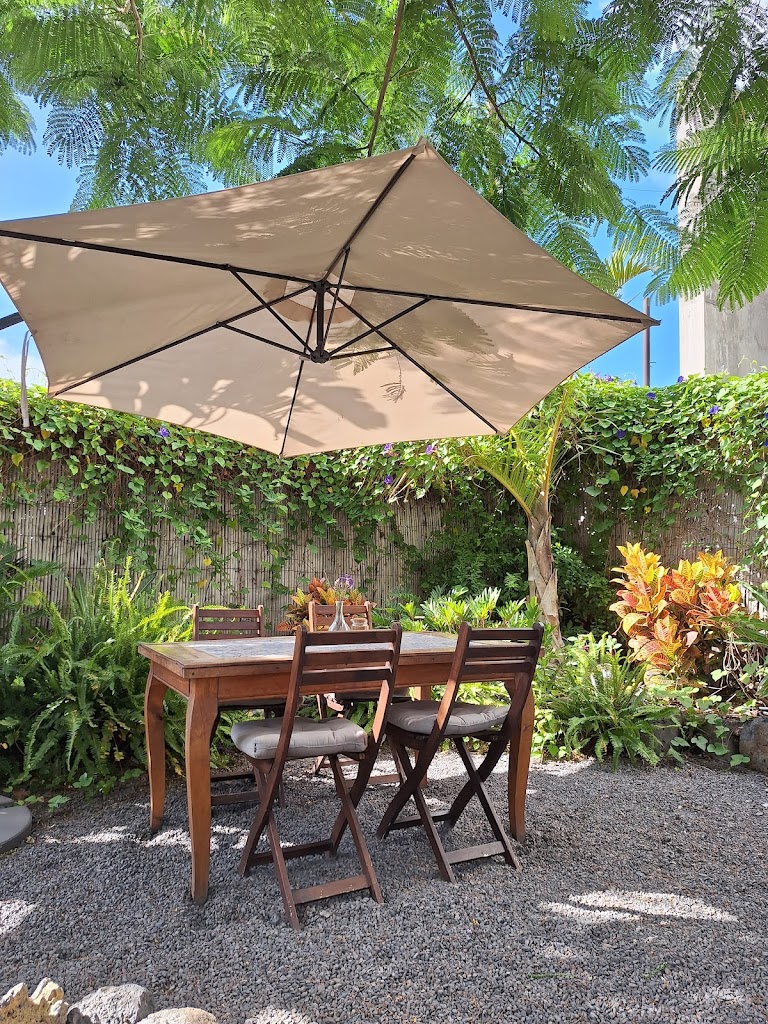 La Papaya specialty coffee & vegetarian brunch