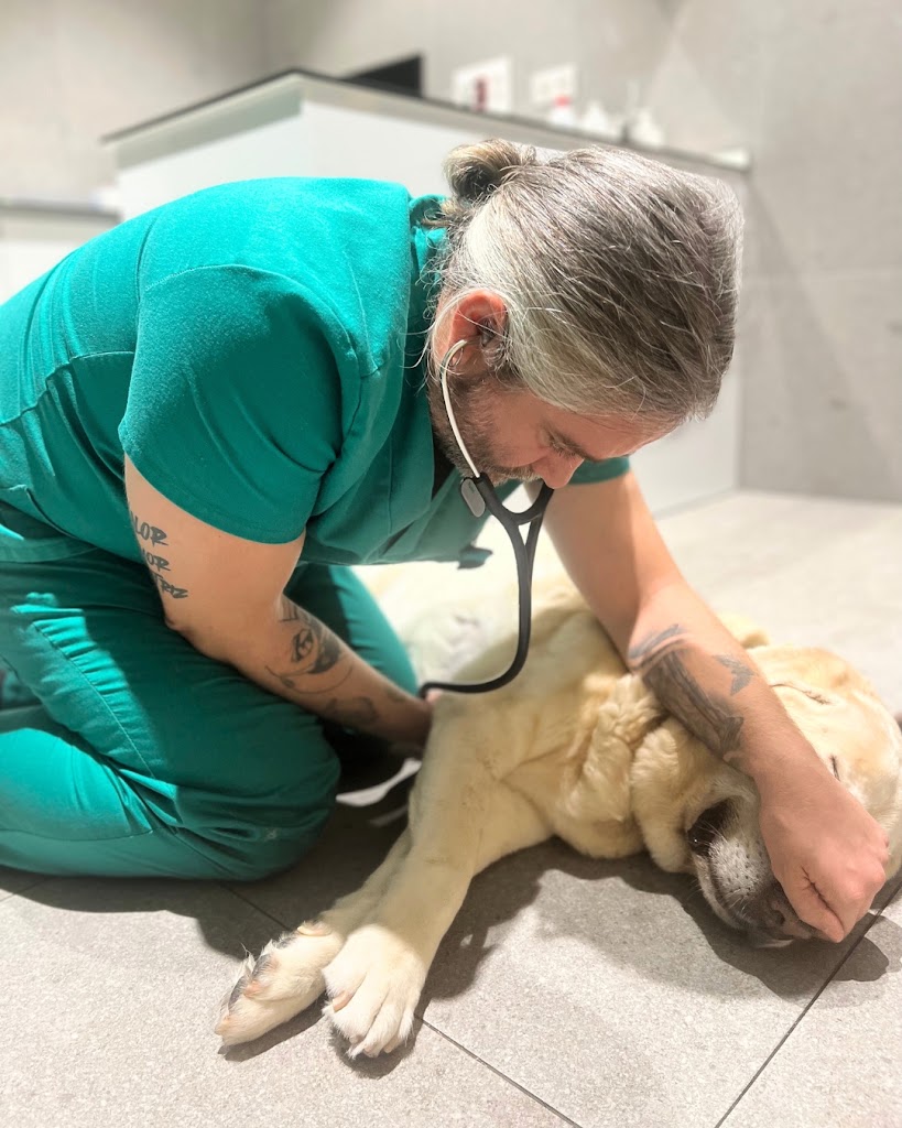 Evidensia Sevilla Hospital Veterinario — Mas recientes