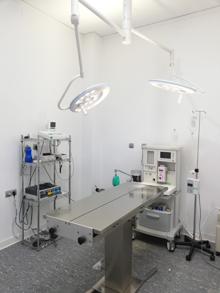 BlueVet Clinica Veterinaria — Del propietario