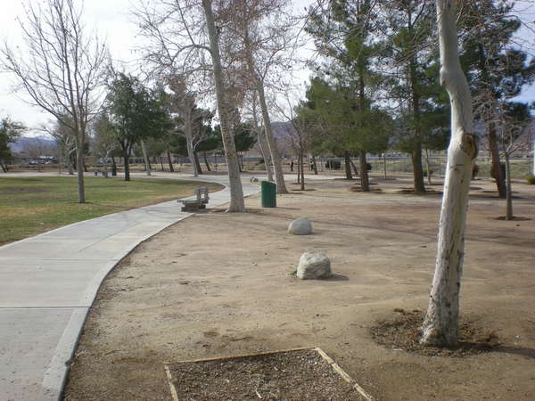 Desert Sands Park