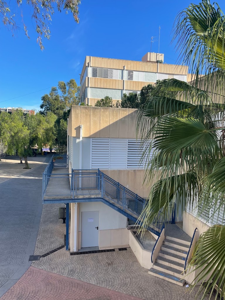 Liceo Frances de Valencia — Del propietario
