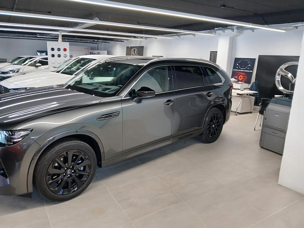 Concesionario Oficial Mazda Mogacar Madrid - Alcobendas (dentro Parque Comercial Rio Norte) — Mas recientes