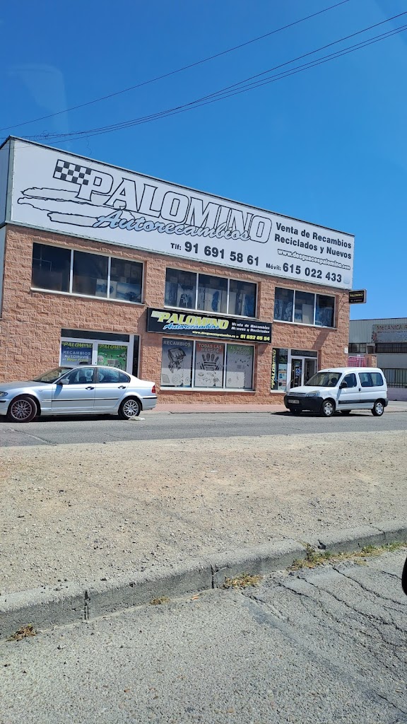 Palomino