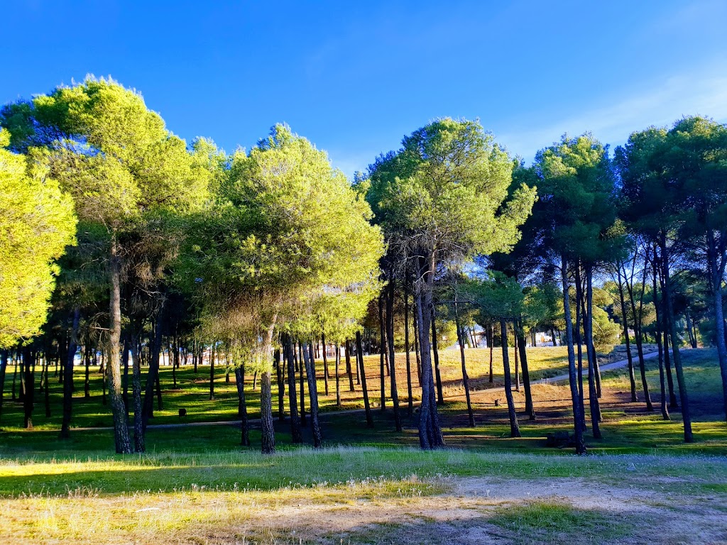 Parque Forestal El Cordel