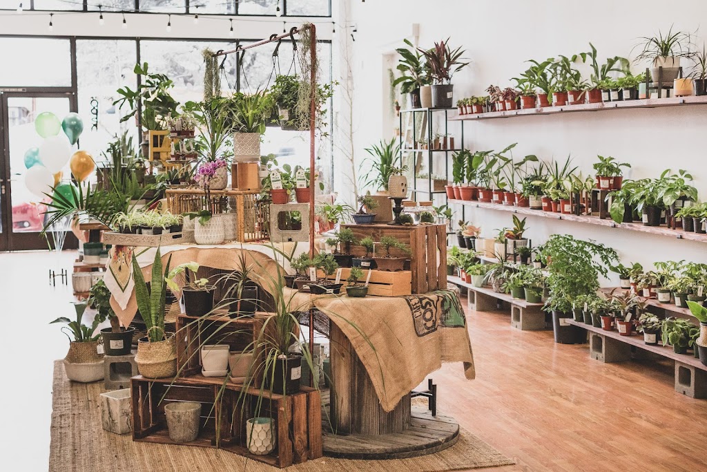 Packer Plant Co