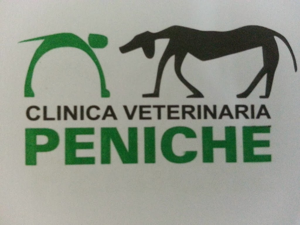 Clinica Veterinaria Peniche — Del propietario
