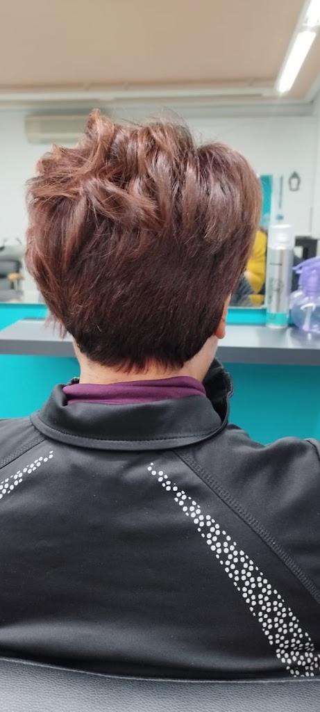 Peluqueria y estetica 5 Sentidos — Del propietario