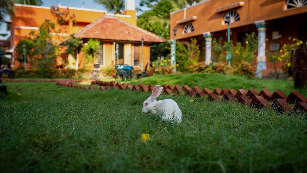 Chettinadu Village Resort