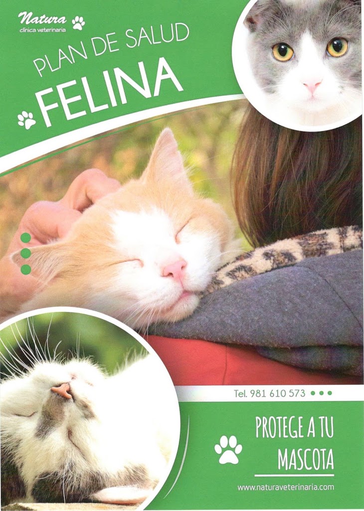 C.V. Natura — Gato