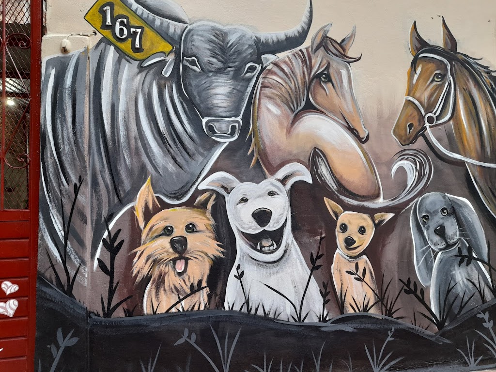 Perro