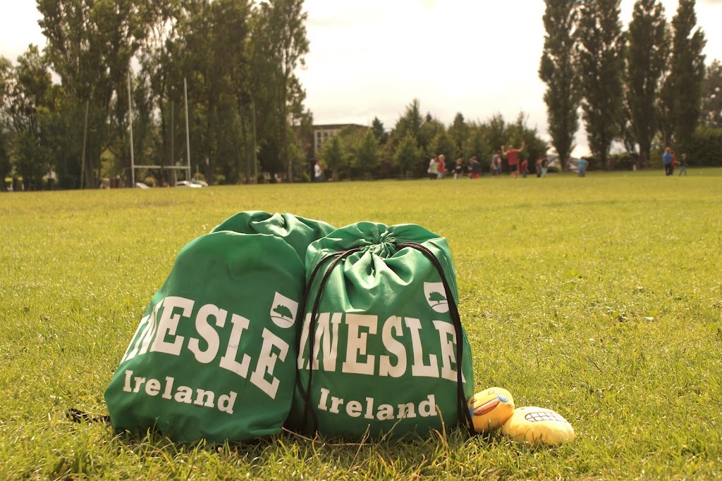 INESLE Santander - Instituto de Lenguas