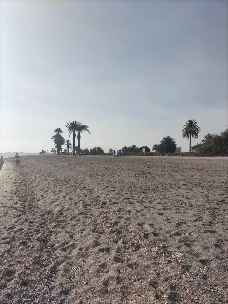 Tarayon de los Bajos - Roquetas de Mar