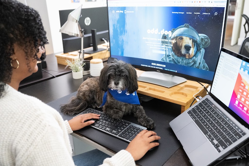 Odd Dog Media Tacoma Marketing Agency
