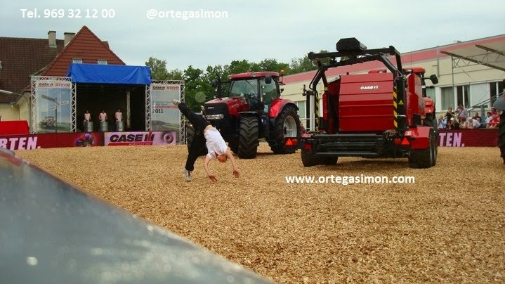 Hermanos Ortega Simon, S.A.