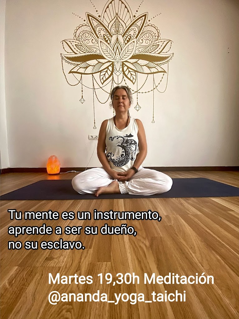 Ananda Yoga & Bienestar — Yoga