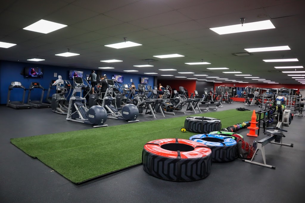  Body Evolution South