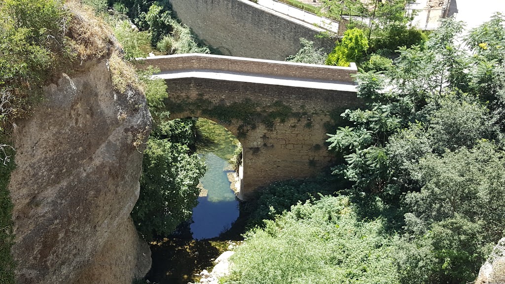 Puente San Miguel