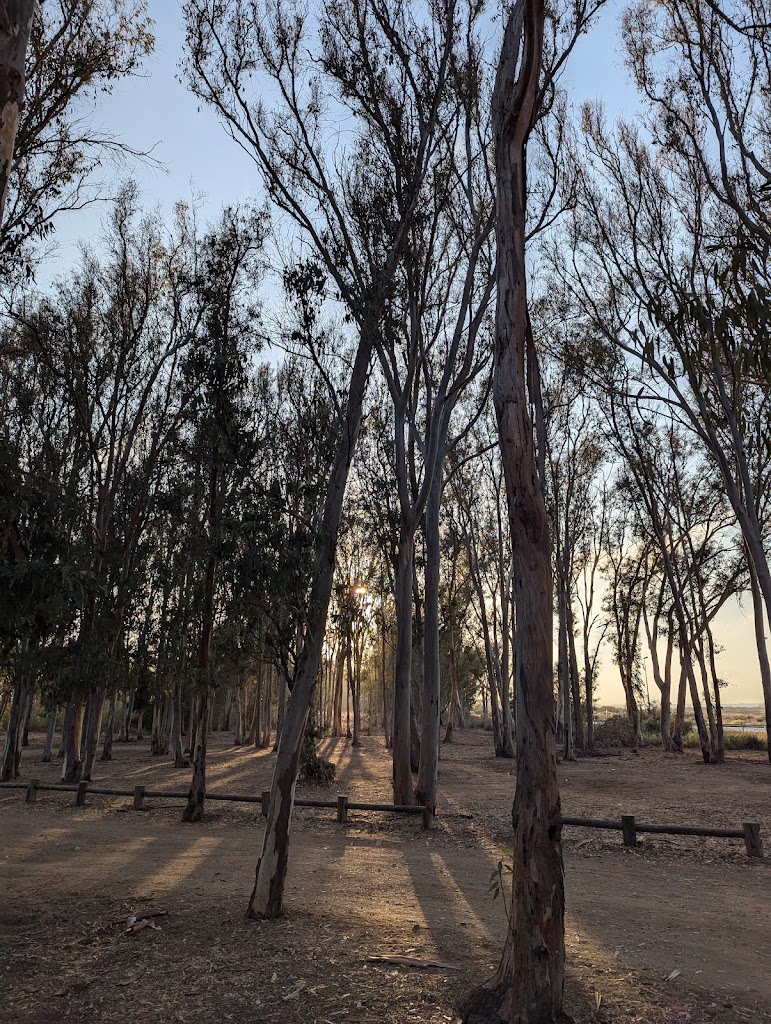 Parking Playa de la Chancla