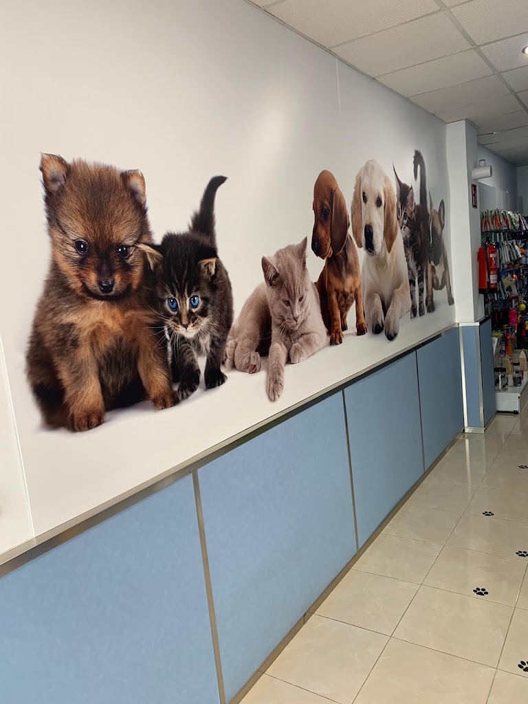 Centro Veterinario Pitiuso — Del propietario