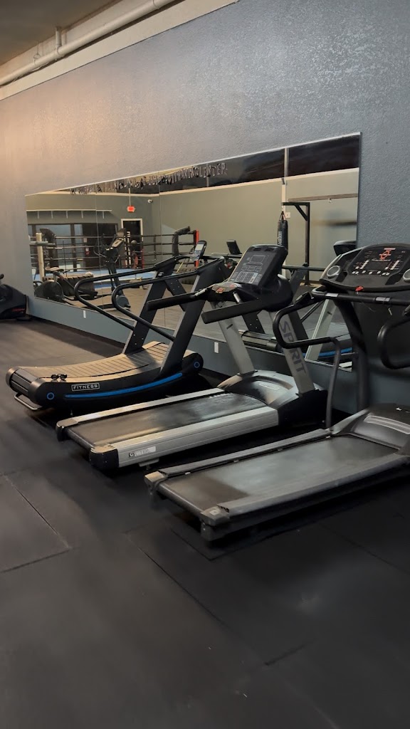  Backyard Battleground Boxing