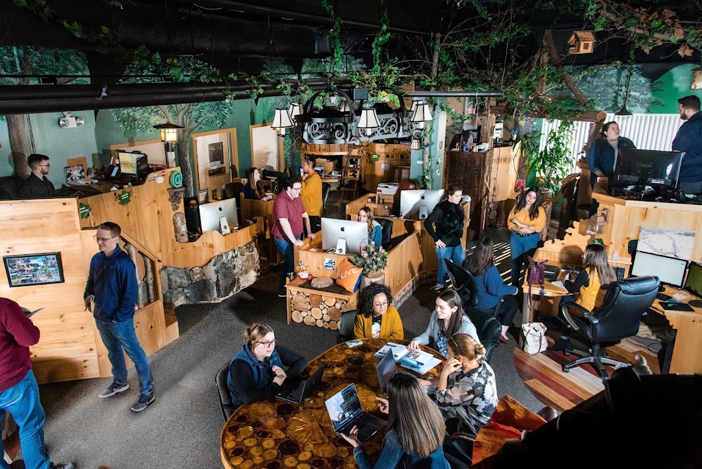 Treehouse Marketing