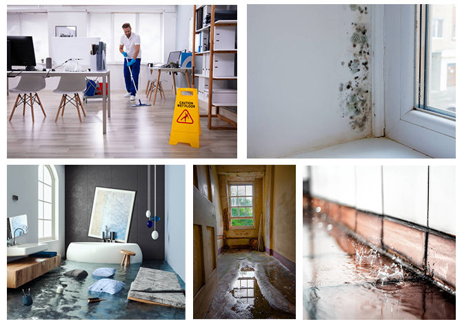 Water Damage Restoration Services