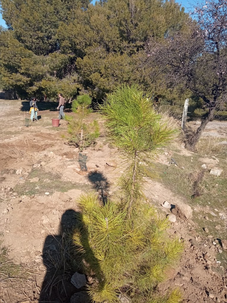 La Ruta de las Ardillas del Barrio de la Cana