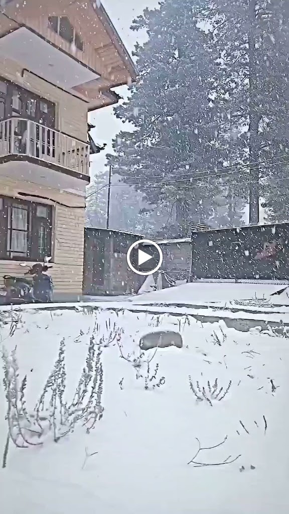 Videos