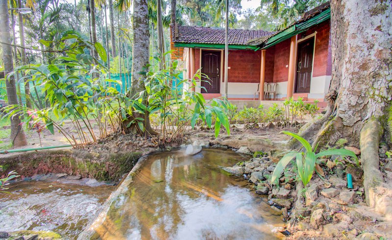 The Twin Cottages