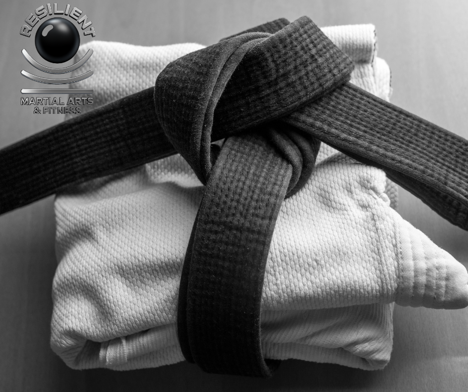  Resilient Martial Arts and Fitness