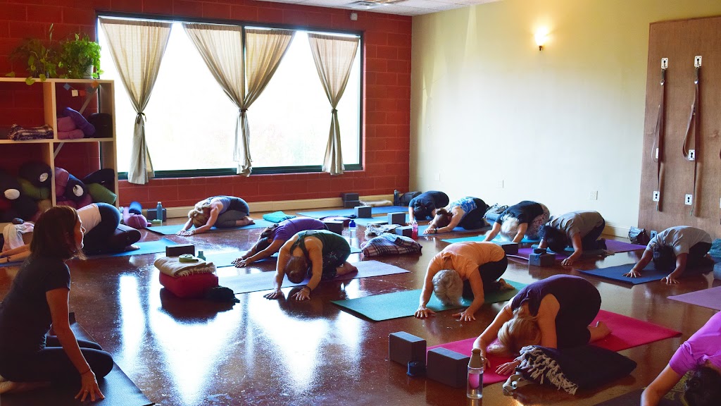  Ebb n' Flow Yoga