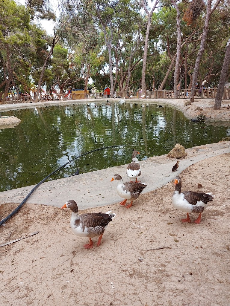 Pistas de Petanca Guardamar del Segura