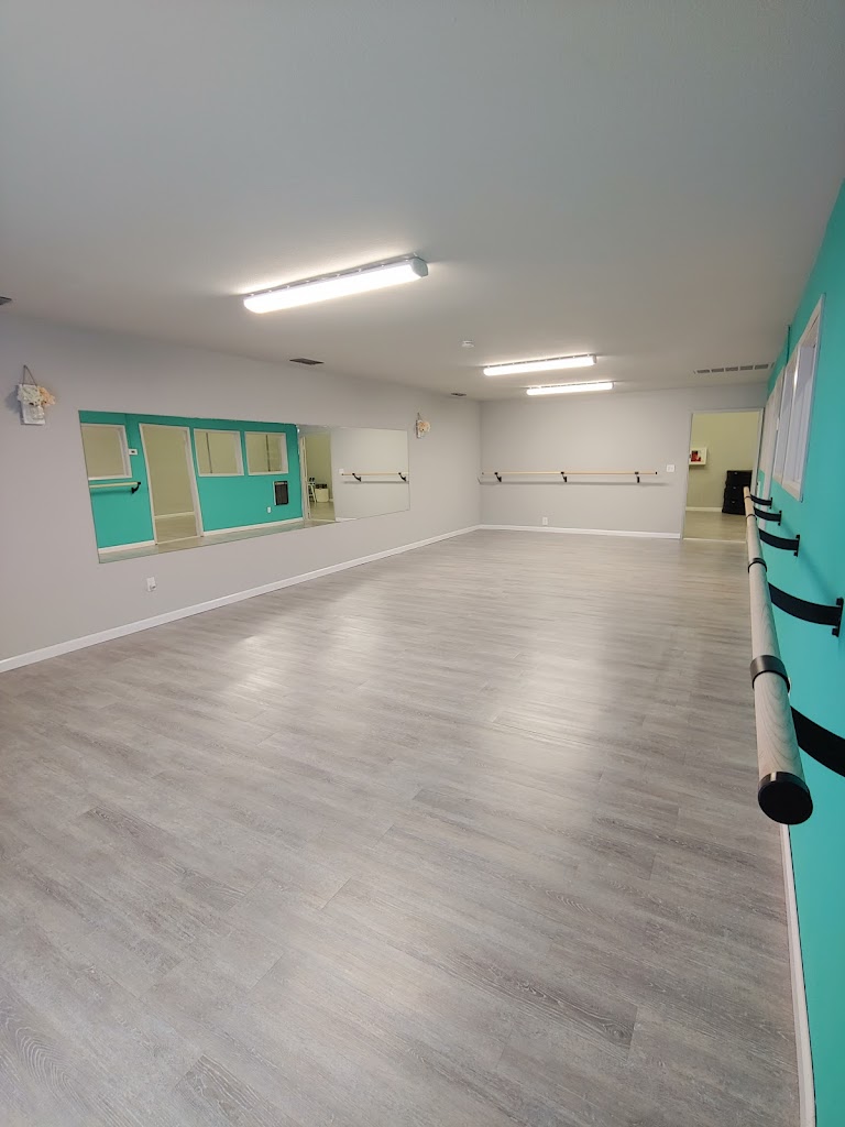  Vibe Aerial Arts & Dance