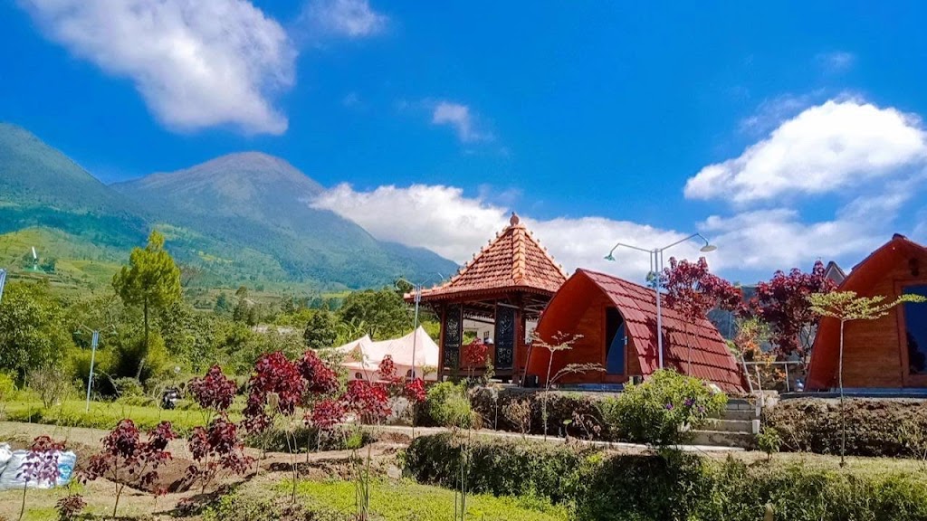 CAMPING Ground Damarkasiyan