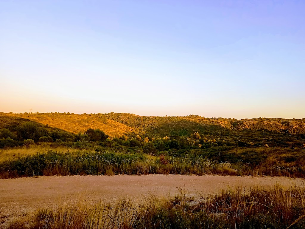La polvora