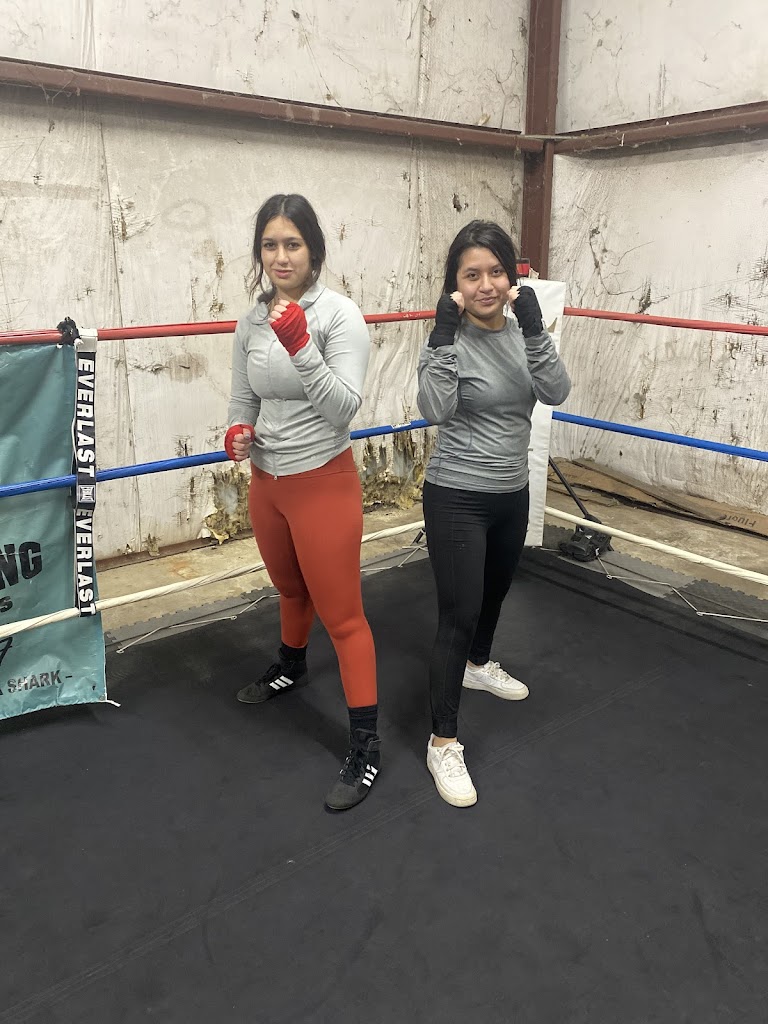  Gipson Boxing School of Sharks