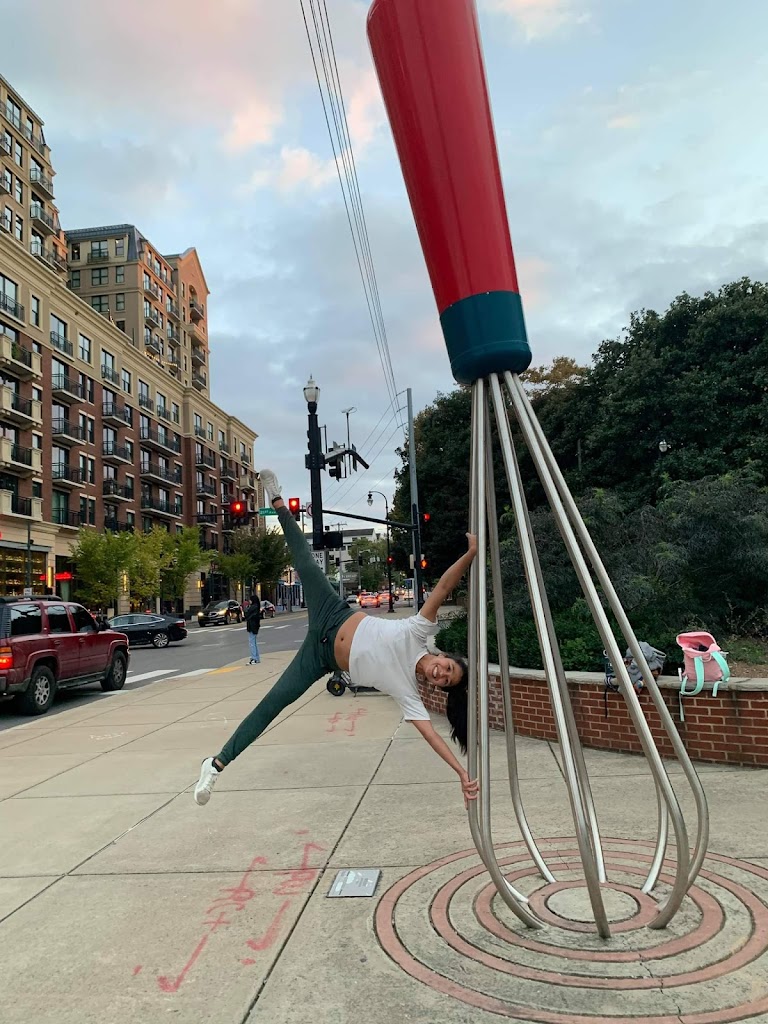  Paradigm Pole Fitness