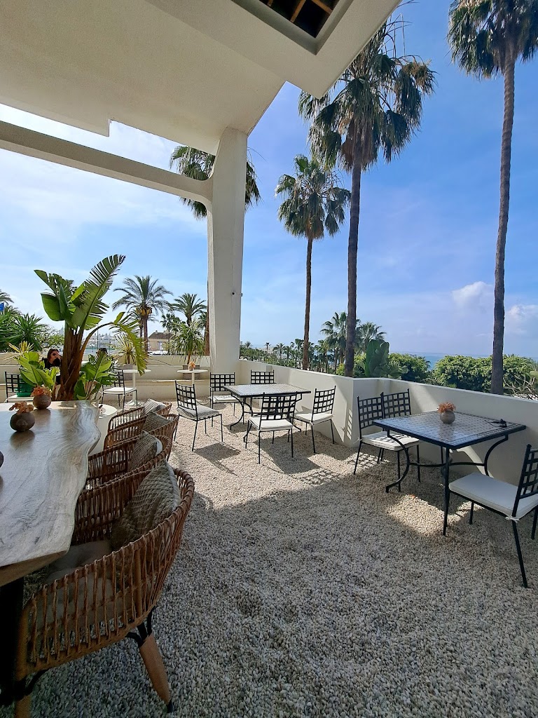 Comfy Brunch & Bistro