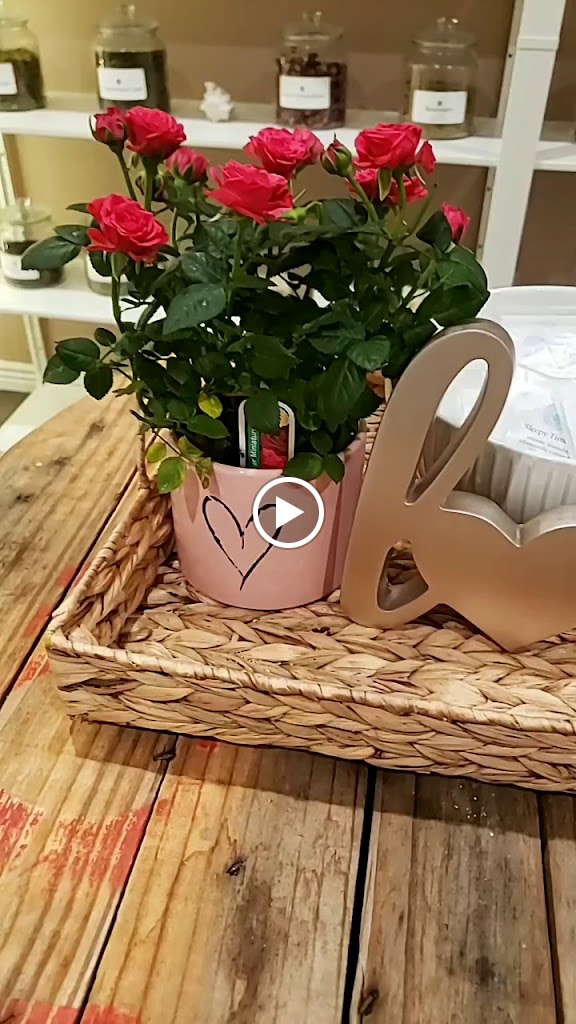  Venus Moon Wellness Boutique