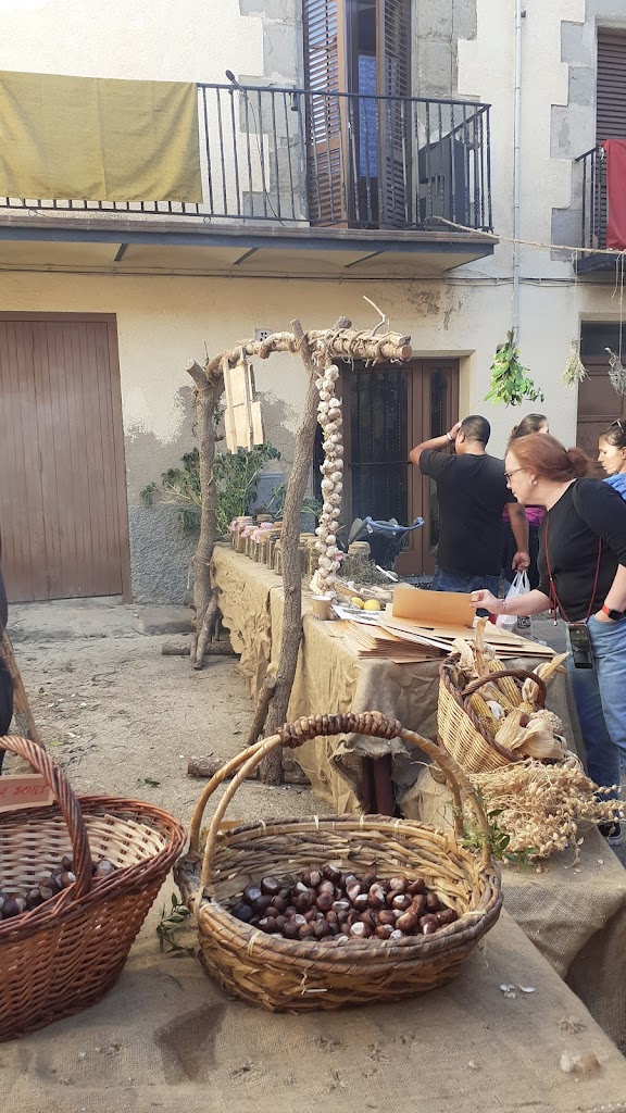 Escuela Municipal de Musica de Llinars