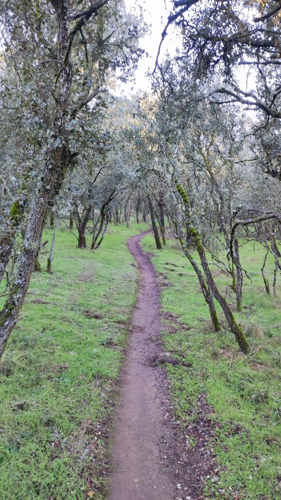 Senda Verde Boecillo -> Viana