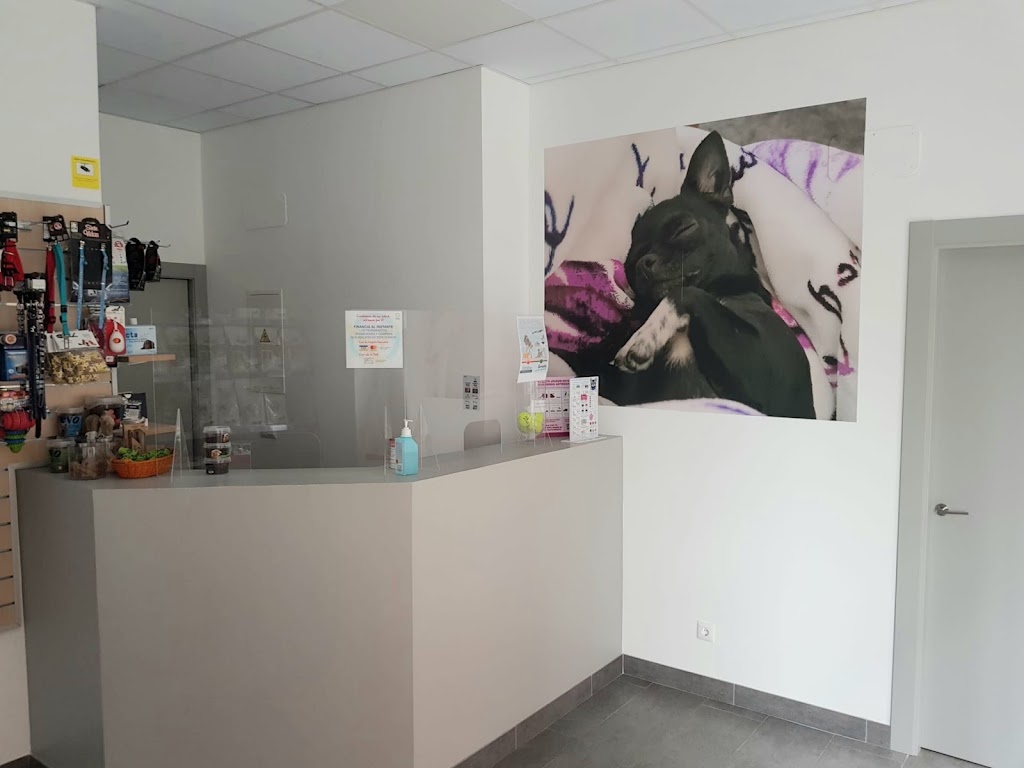 Clinica Veterinaria Albericia — Del propietario