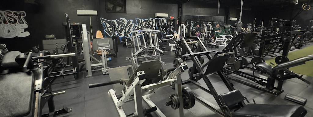  Pack Animal Fitness Gym & Cold Plunge